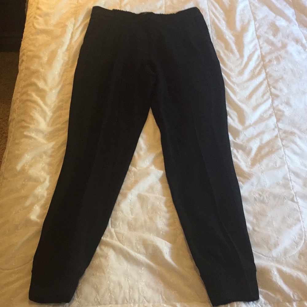 Babaton/ Aritzia Pants